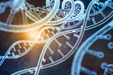 Генетики СПбГУ создали первую в мире программу по поиску амилоидов, включающих разные белки